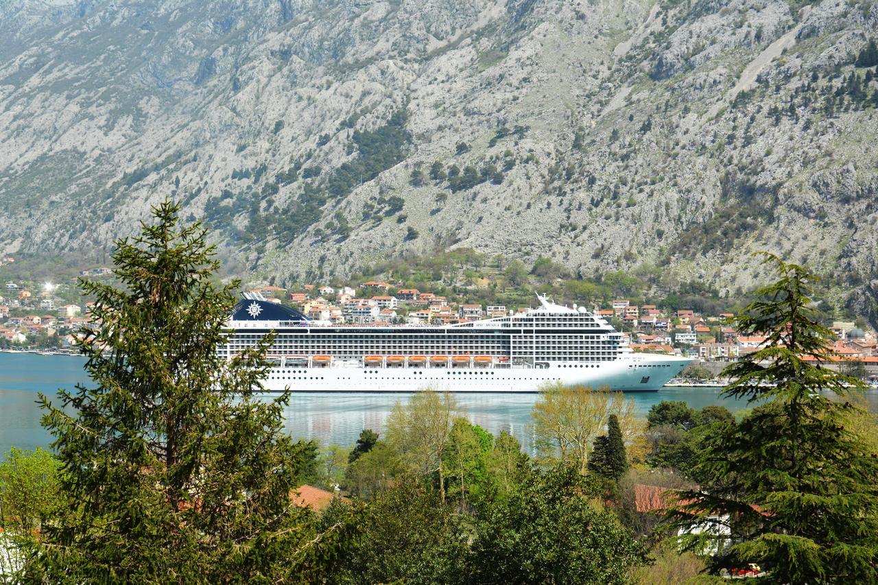 Apartment Baletic Kotor Eksteriør bilde